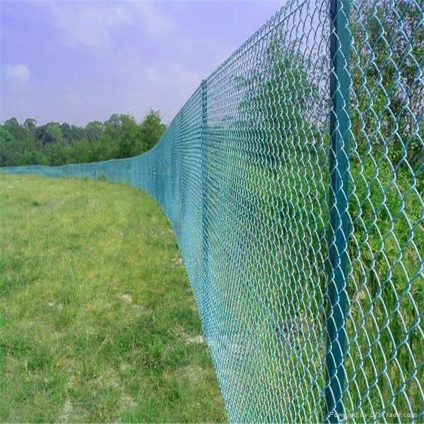 manufacturer supply chain link fence sports gym  4