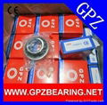 GPZ CSA Series pillow block bearings