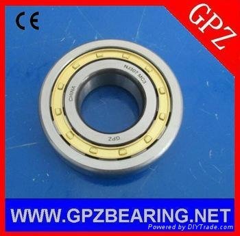 GPZ  cylindrical roller bearings NJ205E (42205E) 25x52x15 
