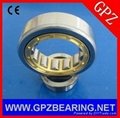 GPZ  cylindrical roller bearings NJ205E (42205E) 25x52x15  3