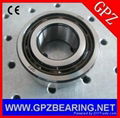 GPZ Double row angular contact ball bearings 5303 (3056303) ZZ 2RS