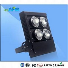 LED Flood Light