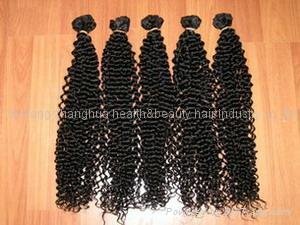 Human Hair Extension or Weaving 2