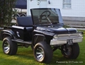 56 Ford F100 Truck Custom Golf Cart   1