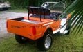 F250 Truck Custom Golf CartBody  4