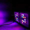 Forest Grower 150W full spectrum LED Grow light  3