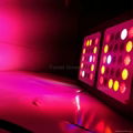 Forest Grower 150W full spectrum LED Grow light  4