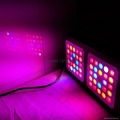 Forest Grower 150W full spectrum LED Grow light  5