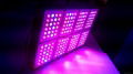 Forest Grower  576w LED Grow light full spectrum for the grow tent greenhouse 1