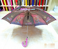 Fashion Auto Open Stick Umbrella FL-S002