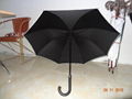 Fashion Auto open Stick Umbrella FL-S005