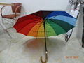 Fashion Auto Open Straight Umbrella FL-S007 1