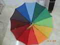 Fashion Auto Open Straight Umbrella FL-S007 2