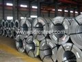 Galvanized Steel Coil 2