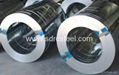 Galvanized Steel Coil 3