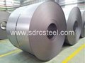 Galvanized Steel Coil 5