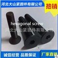 Hexagonal screw;cup head screw;flat head screw; 5