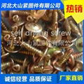 STAINLESS STEEL SELF DRILLING SCREWS;Hexagon drlling screw; 4