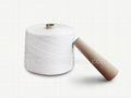 polyester yarn for sewing thread 1