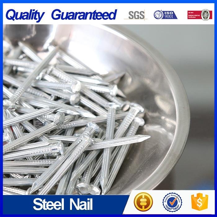 Straight Grooved Steel Nail Zinc Plated 