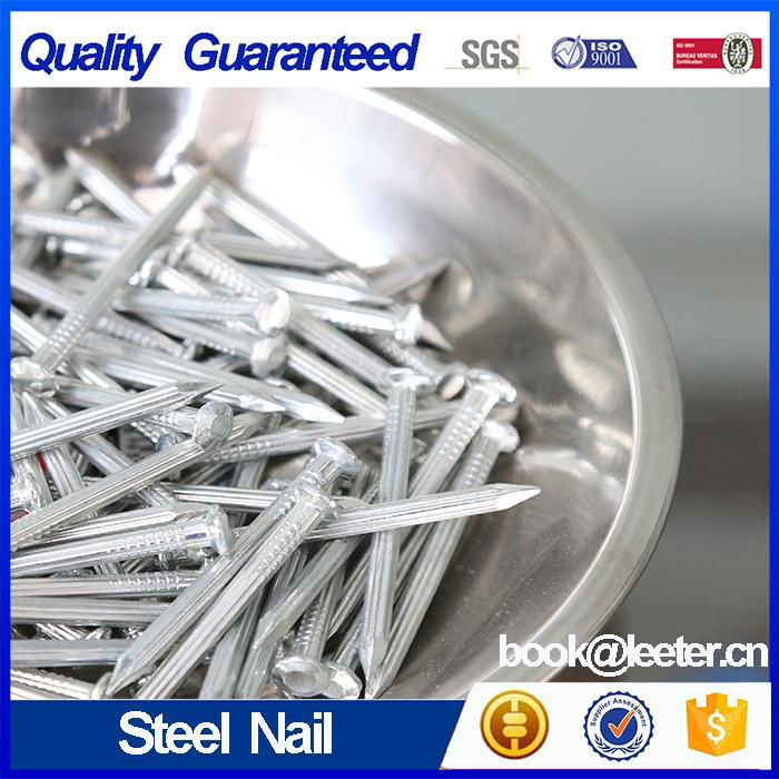 Straight Grooved Steel Nail Zinc Plated  2