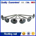 Galvanized Roofing Nail with Factory Price  1