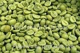 Green Coffee Bean Extract 4