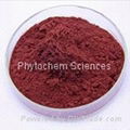 Haematococcus Pluvialis Extract 2