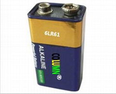 9V 6LR61 Alkaline battery