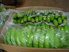 FRESH CAVENDISH BANANAS