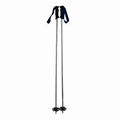 Aluminum Alpine Ski Poles