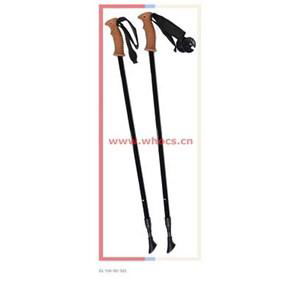 2 Sections Carbon Trekking Poles