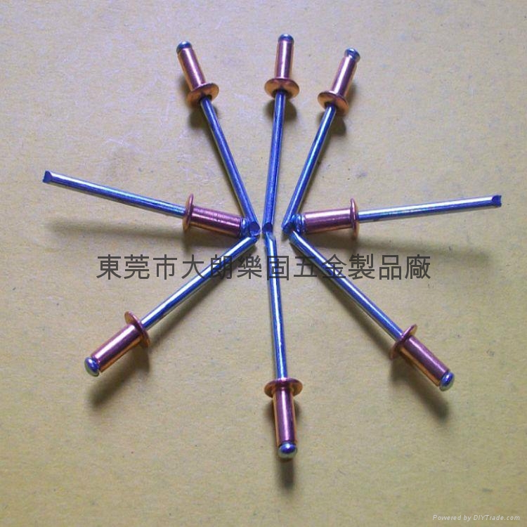 銅抽芯拉釘 2