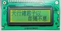Character LCD series:MDLS16265B-LED04(MDLS16265BSP-09) 5
