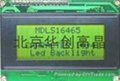 MGLS12864V3D-LED03（MGLS12864 V3D-101） 5