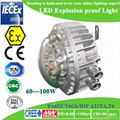 Competitive price for BHD-8610 Explosion proof light with Atex certificate 1
