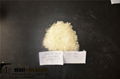 P5501 Polyester Resin for Powder