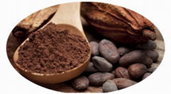 Alkalized Cocoa Powder