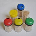 Double Point Bamboo Toothpick 1