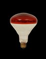 Red Infrared Ray Heat Lamps 3