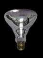 R80/R95 Reflection Bulbs