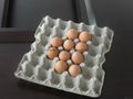 small egg tray making machine 5