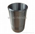 Cylinder Liner 3