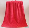 Microfiber Coral Velvet Bath towels 2