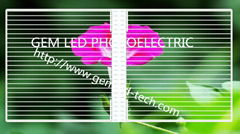 high transparency indoor P20 transparent led display 