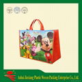 PP woven Shopping bag,cooler bag 1