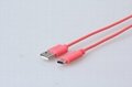 Wholesale colorful reversible USB 3.1 Type C to USB 2.0 A Male Cable 3
