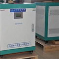 Single Phase Inverters 1