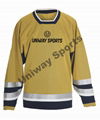 ICE HOCKEY JERSEY