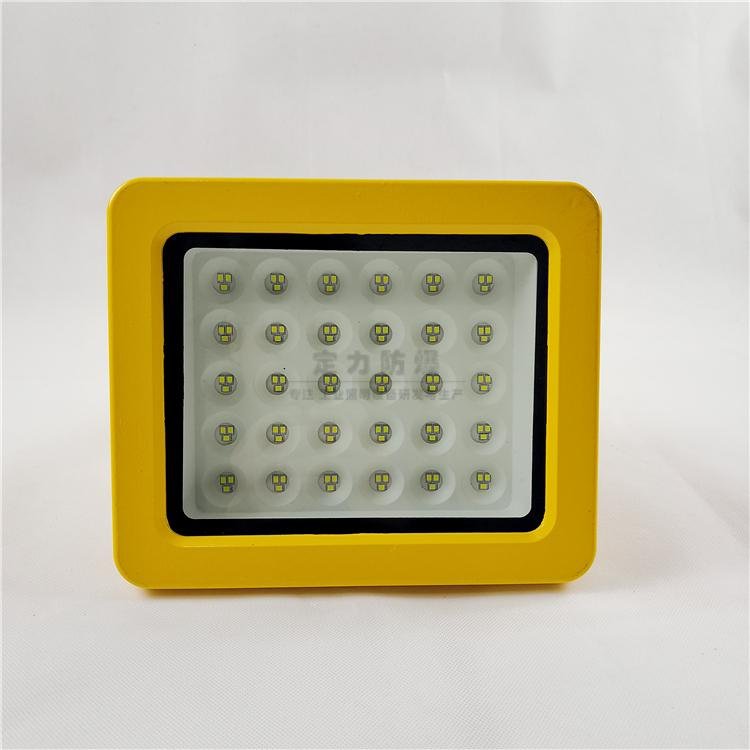 LED防爆燈60W 2